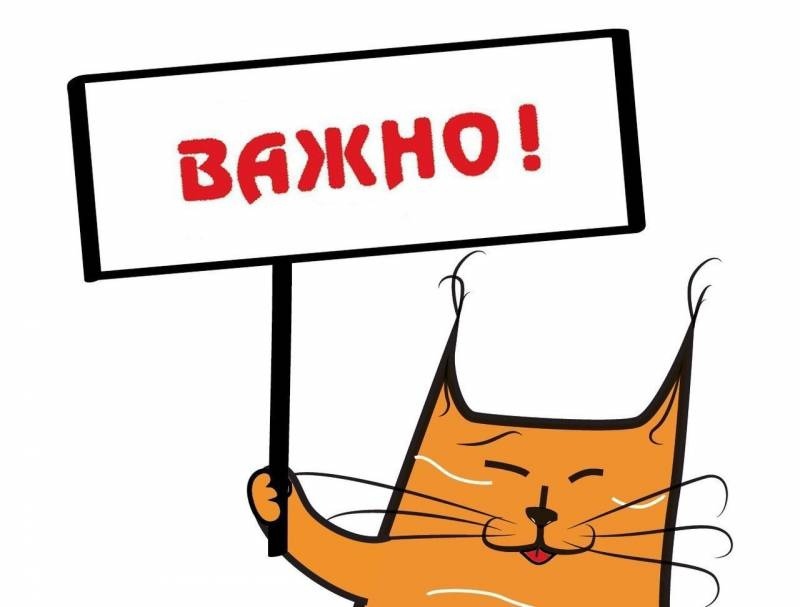 Изменение в поиске товаров